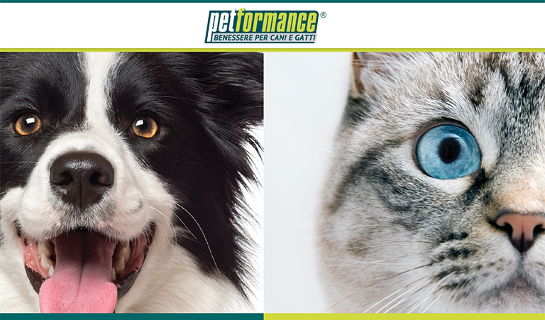 Petformance – Articoli per la salute, il benessere e l’igiene di cani e gatti